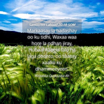 Picture 04 - Samuu'eel Labaad 20:18 SOM - Markaasay la hadashay oo ku tidhi, Waxaa waa hore - Bible Verse Picture