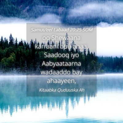 Picture 04 - Samuu'eel Labaad 20:25 SOM - oo Shewaana karraani buu ahaa, Saadooq iyo - Bible Verse Picture