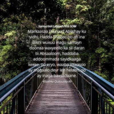 Picture 04 - Samuu'eel Labaad 20:6 SOM - Markaasaa Daa'uud Abiishay ku yidhi, Hadda Shebac - Bible Verse Picture