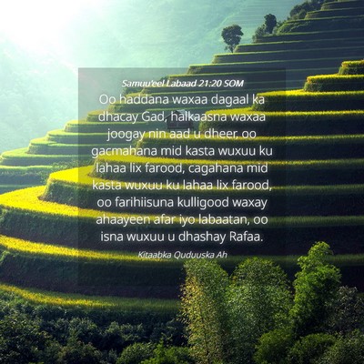 Picture 04 - Samuu'eel Labaad 21:20 SOM - Oo haddana waxaa dagaal ka dhacay Gad, halkaasna - Bible Verse Picture
