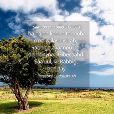 Picture 04 - Samuu'eel Labaad 21:6 SOM - ha naloo keeno toddoba nin oo wiilashiisii ah, oo - Bible Verse Picture