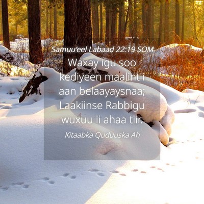 Picture 04 - Samuu'eel Labaad 22:19 SOM - Waxay igu soo kediyeen maalintii aan - Bible Verse Picture