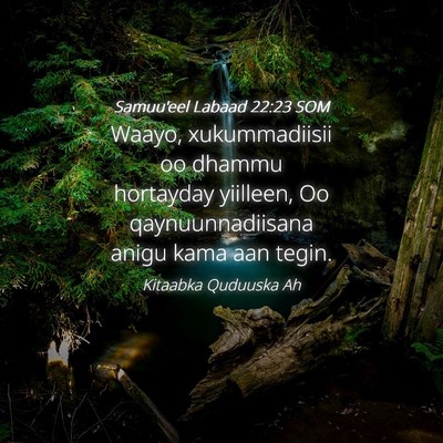 Picture 04 - Samuu'eel Labaad 22:23 SOM - Waayo, xukummadiisii oo dhammu hortayday - Bible Verse Picture