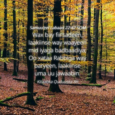 Picture 04 - Samuu'eel Labaad 22:42 SOM - Wax bay fiirsadeen, laakiinse way waayeen mid - Bible Verse Picture