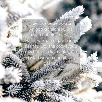 Picture 04 - Samuu'eel Labaad 22:7 SOM - Anigoo cidhiidhi ku jira ayaan Rabbiga baryay, - Bible Verse Picture