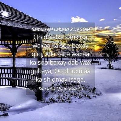 Picture 04 - Samuu'eel Labaad 22:9 SOM - Oo dulalka sankiisa waxaa ka soo baxay qiiq, - Bible Verse Picture