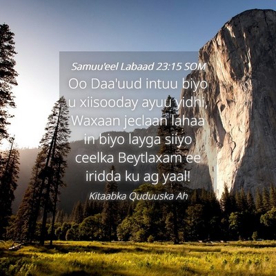 Picture 04 - Samuu'eel Labaad 23:15 SOM - Oo Daa'uud intuu biyo u xiisooday ayuu yidhi, - Bible Verse Picture