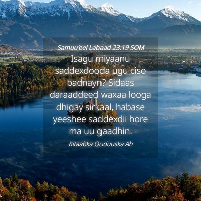 Picture 04 - Samuu'eel Labaad 23:19 SOM - Isagu miyaanu saddexdooda ugu ciso badnayn? - Bible Verse Picture