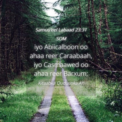 Picture 04 - Samuu'eel Labaad 23:31 SOM - iyo Abiicalboon oo ahaa reer Caraabaah, iyo - Bible Verse Picture