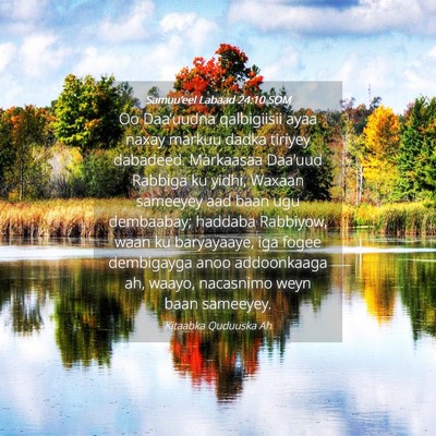 Picture 04 - Samuu'eel Labaad 24:10 SOM - Oo Daa'uudna qalbigiisii ayaa naxay markuu dadka - Bible Verse Picture