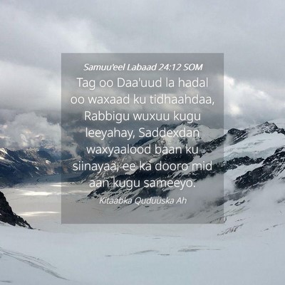 Picture 04 - Samuu'eel Labaad 24:12 SOM - Tag oo Daa'uud la hadal oo waxaad ku tidhaahdaa, - Bible Verse Picture