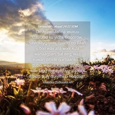 Picture 04 - Samuu'eel Labaad 24:22 SOM - Oo Arawnaahna wuxuu Daa'uud ku yidhi, Boqorow, - Bible Verse Picture