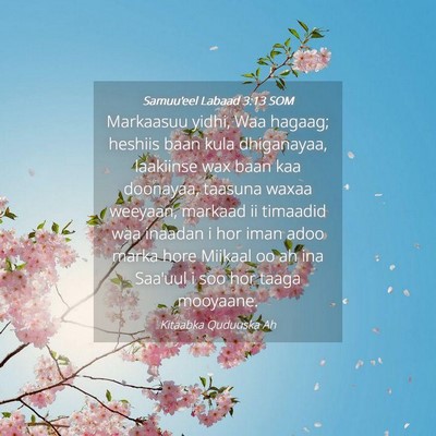 Picture 04 - Samuu'eel Labaad 3:13 SOM - Markaasuu yidhi, Waa hagaag; heshiis baan kula - Bible Verse Picture