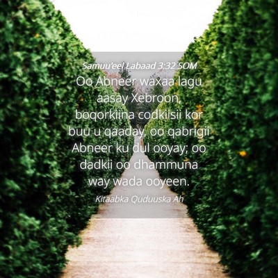 Picture 04 - Samuu'eel Labaad 3:32 SOM - Oo Abneer waxaa lagu aasay Xebroon, boqorkiina - Bible Verse Picture