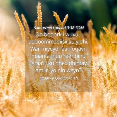 Picture 04 - Samuu'eel Labaad 3:38 SOM - Oo boqorkii wuxuu addoommadiisii ku yidhi, War - Bible Verse Picture