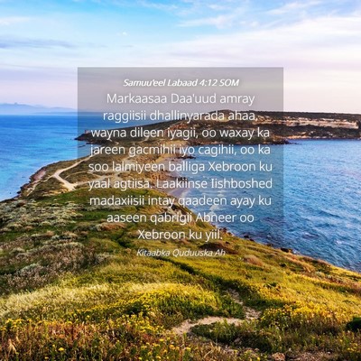 Picture 04 - Samuu'eel Labaad 4:12 SOM - Markaasaa Daa'uud amray raggiisii dhallinyarada - Bible Verse Picture