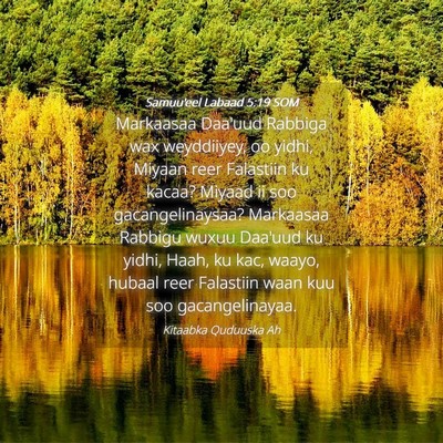 Picture 04 - Samuu'eel Labaad 5:19 SOM - Markaasaa Daa'uud Rabbiga wax weyddiiyey, oo - Bible Verse Picture
