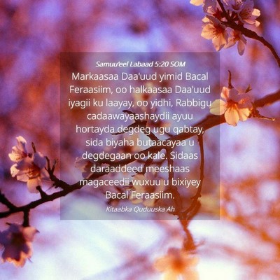 Picture 04 - Samuu'eel Labaad 5:20 SOM - Markaasaa Daa'uud yimid Bacal Feraasiim, oo - Bible Verse Picture