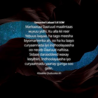Picture 04 - Samuu'eel Labaad 5:8 SOM - Markaasaa Daa'uud maalintaas wuxuu yidhi, Ku alla - Bible Verse Picture