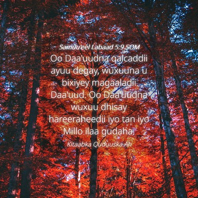 Picture 04 - Samuu'eel Labaad 5:9 SOM - Oo Daa'uudna qalcaddii ayuu degay, wuxuuna u - Bible Verse Picture
