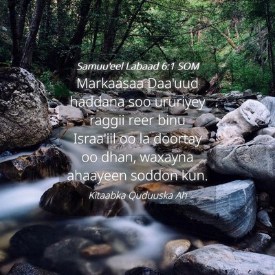 Picture 04 - Samuu'eel Labaad 6:1 SOM - Markaasaa Daa'uud haddana soo ururiyey raggii - Bible Verse Picture