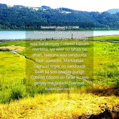 Picture 04 - Samuu'eel Labaad 6:12 SOM - Markaasaa Daa'uud loo soo sheegay oo lagu yidhi, - Bible Verse Picture
