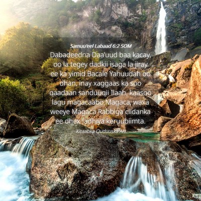 Picture 04 - Samuu'eel Labaad 6:2 SOM - Dabadeedna Daa'uud baa kacay, oo la tegey dadkii - Bible Verse Picture