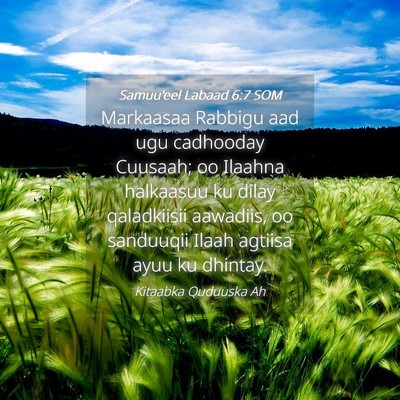 Picture 04 - Samuu'eel Labaad 6:7 SOM - Markaasaa Rabbigu aad ugu cadhooday Cuusaah; oo - Bible Verse Picture