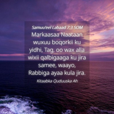 Picture 04 - Samuu'eel Labaad 7:3 SOM - Markaasaa Naataan wuxuu boqorkii ku yidhi, Tag, - Bible Verse Picture