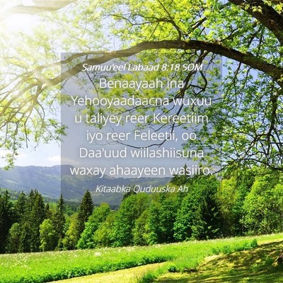 Picture 04 - Samuu'eel Labaad 8:18 SOM - Benaayaah ina Yehooyaadaacna wuxuu u taliyey reer - Bible Verse Picture