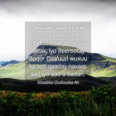 Picture 04 - Samuu'eel Labaad 8:8 SOM - Oo magaalooyinkii Hadadceser oo ahaa Betax, iyo - Bible Verse Picture