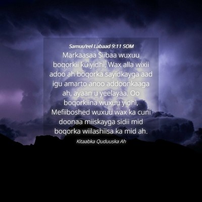 Picture 04 - Samuu'eel Labaad 9:11 SOM - Markaasaa Siibaa wuxuu boqorkii ku yidhi, Wax - Bible Verse Picture