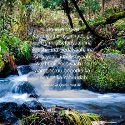 Picture 04 - Sefanyaah 1:1 SOM - Kanu waa Eraygii Rabbiga oo u yimid Sefanyaah ina - Bible Verse Picture