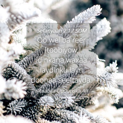 Picture 04 - Sefanyaah 2:12 SOM - Oo weliba reer Itoobiyow, idinkana waxaa laydinku - Bible Verse Picture