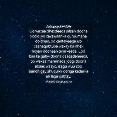 Picture 04 - Sefanyaah 2:14 SOM - Oo waxaa dhexdeeda jiifsan doona xoolo iyo - Bible Verse Picture