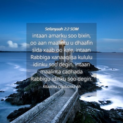 Picture 04 - Sefanyaah 2:2 SOM - intaan amarku soo bixin, oo aan maalintu u - Bible Verse Picture
