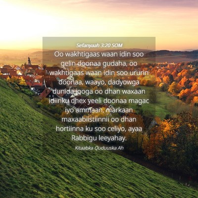 Picture 04 - Sefanyaah 3:20 SOM - Oo wakhtigaas waan idin soo gelin doonaa gudaha, - Bible Verse Picture