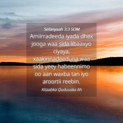 Picture 04 - Sefanyaah 3:3 SOM - Amiirradeeda iyada dhex jooga waa sida libaaxyo - Bible Verse Picture