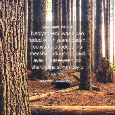 Picture 04 - Sefanyaah 3:4 SOM - Nebiyadeedu waa kuwo fudud oo khiyaano badan, oo - Bible Verse Picture