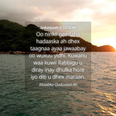 Picture 04 - Sekaryaah 1:10 SOM - Oo ninkii geedaha hadaaska ah dhex taagnaa ayaa - Bible Verse Picture