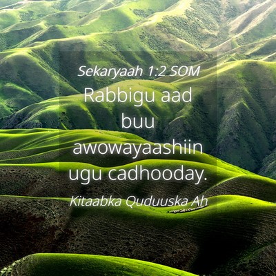 Picture 04 - Sekaryaah 1:2 SOM - Rabbigu aad buu awowayaashiin ugu - Bible Verse Picture
