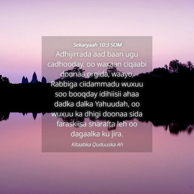 Picture 04 - Sekaryaah 10:3 SOM - Adhijirrada aad baan ugu cadhooday, oo waxaan - Bible Verse Picture