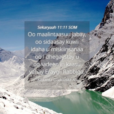 Picture 04 - Sekaryaah 11:11 SOM - Oo maalintaasuu jabay, oo sidaasay kuwii idaha u - Bible Verse Picture
