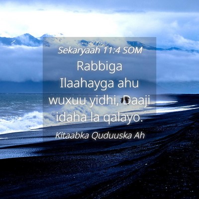 Picture 04 - Sekaryaah 11:4 SOM - Rabbiga Ilaahayga ahu wuxuu yidhi, Daaji idaha la - Bible Verse Picture