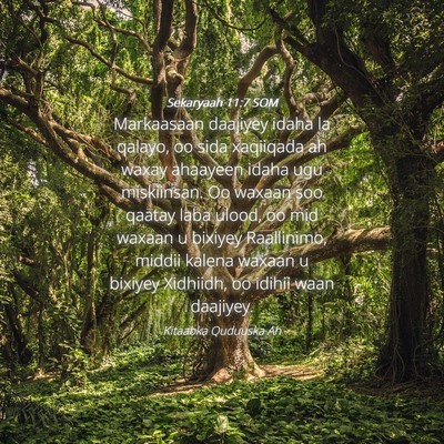 Picture 04 - Sekaryaah 11:7 SOM - Markaasaan daajiyey idaha la qalayo, oo sida - Bible Verse Picture