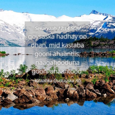 Picture 04 - Sekaryaah 12:14 SOM - qoysaska hadhay oo dhan, mid kastaba gooni - Bible Verse Picture
