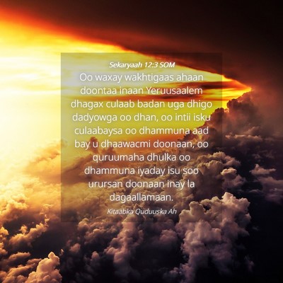 Picture 04 - Sekaryaah 12:3 SOM - Oo waxay wakhtigaas ahaan doontaa inaan - Bible Verse Picture