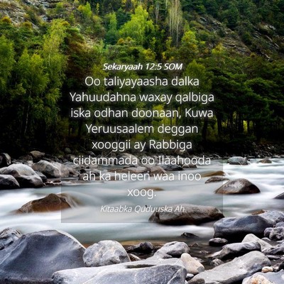 Picture 04 - Sekaryaah 12:5 SOM - Oo taliyayaasha dalka Yahuudahna waxay qalbiga - Bible Verse Picture