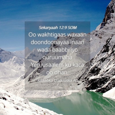 Picture 04 - Sekaryaah 12:9 SOM - Oo wakhtigaas waxaan doondoonayaa inaan wada - Bible Verse Picture