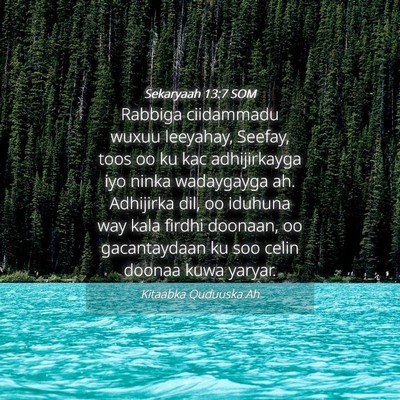 Picture 04 - Sekaryaah 13:7 SOM - Rabbiga ciidammadu wuxuu leeyahay, Seefay, toos - Bible Verse Picture